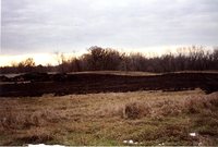 Photograph Collection Labeled Rhodes &amp; DNR, 2003