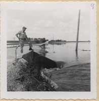 Flood Damage - 1961.