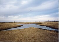2002   Completed wetland program on Charles Poisel Property