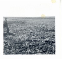 Jerry Muff looking over harvested corn field