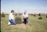 Windbreak on the farm of Don and Phyllis Conley.