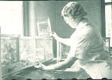 Woman examining zoological specimens, The University of Iowa, 1930s?