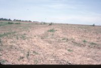 Photograph Collection Of Mrs. Lionel Evans Farm 
