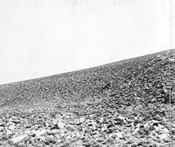 Surface of an alluvial fan at the foot of the Sierra Mountains in Owens Valley, Calif., late 1890s or early 1900s