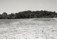 1995 Proposed Terracing Project site on Dale Edmonds' farm
