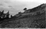Fossil bearing beds of Upper Devonian or Hackberry clay banks, Iowa, late 1890s or early 1900s