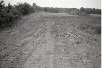Dirt moved beside trees in field