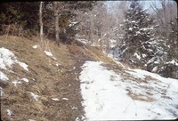 Winter gully.