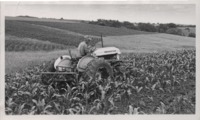 Scenes from Arlie Tillotson's Farm.