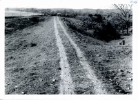 Albert Knake farm at various stages of conservation construction, 1965
