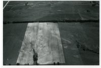 1966 - Unidentified Views of Farmland from Plane