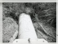 Large Drainage Pipes