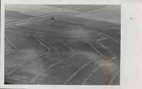 Coutoured V-shaped land in Plymouth County, Iowa
