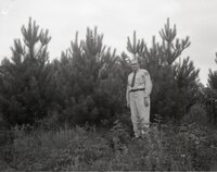 Conservation officer stands by pine trees