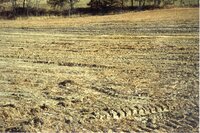 1999 Shallow water wetland established on Robert Yaeger farm