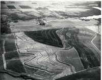 Terraces, 1966