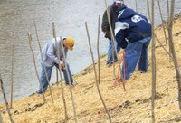 1999 Flint Creek Work Day  on Richard Osborn's property