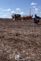 No-till and residue test in sod.