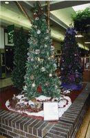 Christmas Tree displays