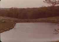Farm Pond with Car Parked at Left