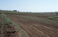 Quad State Progress Award to Frank Todd's farm.