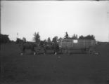 Hog wagon, 1904