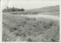 Pastureland with watershed waterway and trees