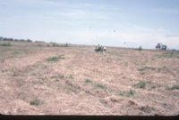 Photograph Collection Of Mrs. Lionel Evans Farm 