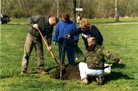 Louisa County SWCD commissioners planting trees at fairgrounds, 2006