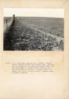 1934 - 1938 Multi-State Photograph Collection  