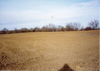 2002  Terraces at Marilyn Vierling's Farm