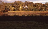 Pearson Lakes Art Center Site Location.