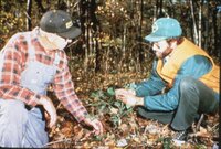 1987 Trees and grasses being planted