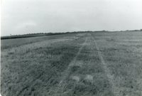 TOT Site before Construction