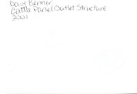 Cattle panel outlet structure