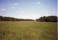 1996  Photos of Shining Trail Girl Scout Council  (GSC) Camp La-Kee-Ta in Danville, Iowa