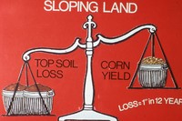 Sloping land effects.