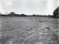 Grassy field with farmhouse and  buildings in background