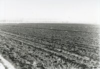 Muddy fields