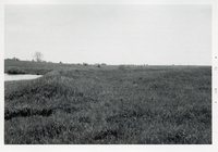 Photograph Collection Of Agricultural Land, 1973.