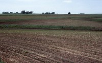 Quad State Progress Award to Frank Todd's farm.