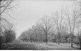 Clinton Street, Iowa City, Iowa, 1900s