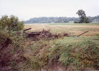 1993 flood and Flint River debris removal