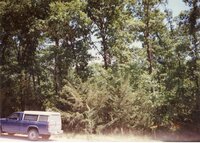 1996  Photos of Shining Trail Girl Scout Council  (GSC) Camp La-Kee-Ta in Danville, Iowa
