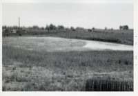 Photograph Collection Of Agricultural Land, 1973.