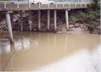 1999 Bridge over Flint River