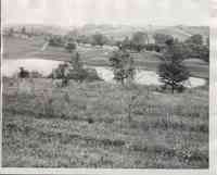 Pond in rural area surrounded by trees and grassland