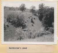 Pond on Nordstrom's Farm.
