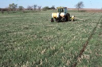 No-till and residue test in sod.