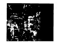 Henry Louis Hillemann Genealogy:  Family Pictures